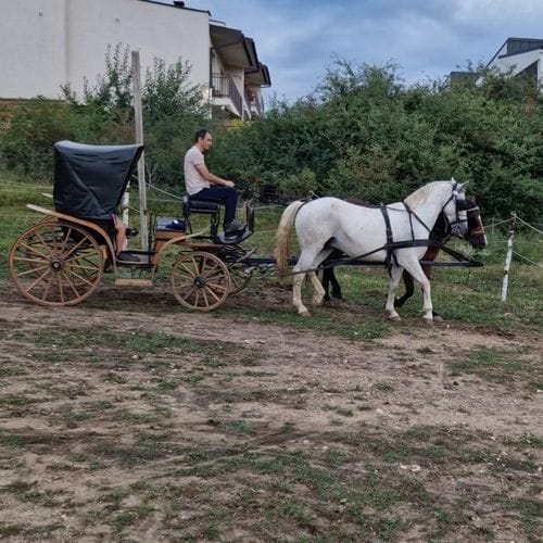 plimbare trasura